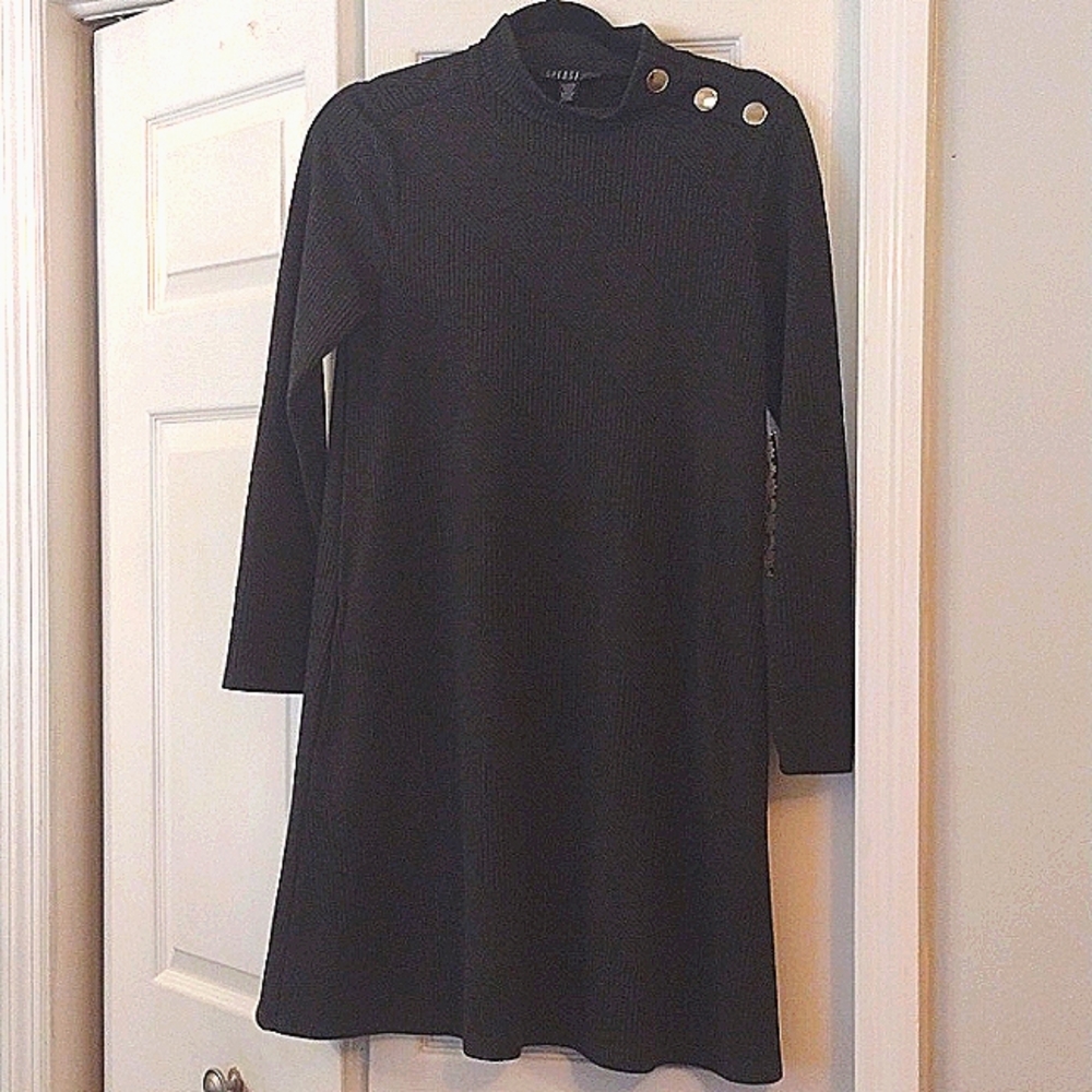 ❄️NWT Spense Petite Shift Sweater Dress w/Pockets & Button Detail